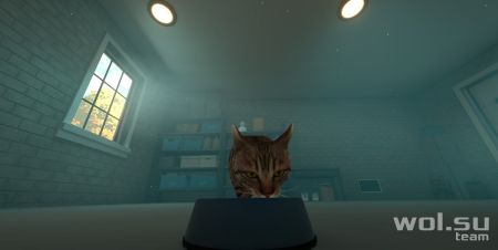 Обзор Copycat: кот-подражатель© Обзор Copycat: кот-подражатель©