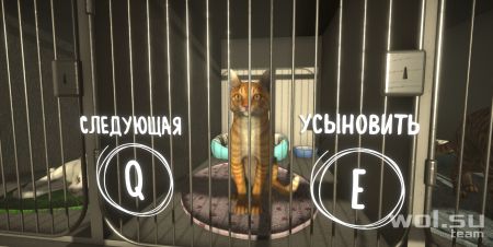 Обзор Copycat: кот-подражатель© Обзор Copycat: кот-подражатель©