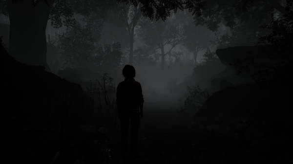 Обзор The Casting of Frank Stone Обзор The Casting of Frank Stone