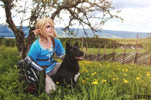 Очень симпатичный косплей по игре Legend of Zelda Очень симпатичный косплей по игре Legend of Zelda