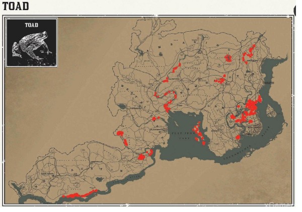 Red dead redemption 2 - животные. Карты с местами обитания Red dead redemption 2 - животные. Карты с местами обитания