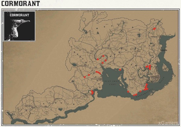 Red dead redemption 2 - животные. Карты с местами обитания Red dead redemption 2 - животные. Карты с местами обитания