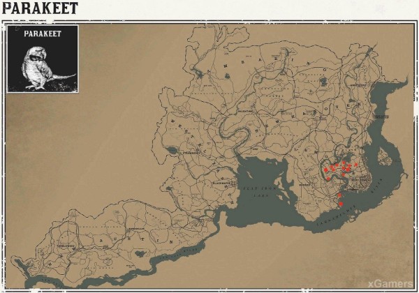 Red dead redemption 2 - животные. Карты с местами обитания Red dead redemption 2 - животные. Карты с местами обитания
