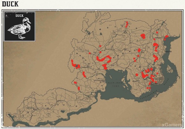 Red dead redemption 2 - животные. Карты с местами обитания Red dead redemption 2 - животные. Карты с местами обитания