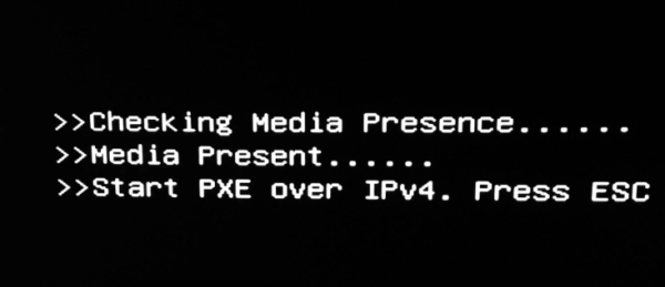Гайд по решению ошибки «Checking Media Presence» при загрузке ПК Гайд по решению ошибки «Checking Media Presence» при загрузке ПК