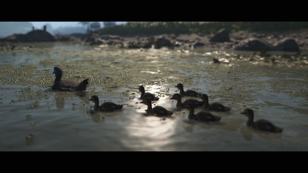 Обзор Assassin's Creed Shadows Обзор Assassin's Creed Shadows