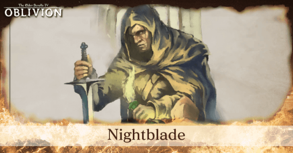 Какой класс лучший в The Elder Scrolls IV Oblivion Remastered Какой класс лучший в The Elder Scrolls IV Oblivion Remastered