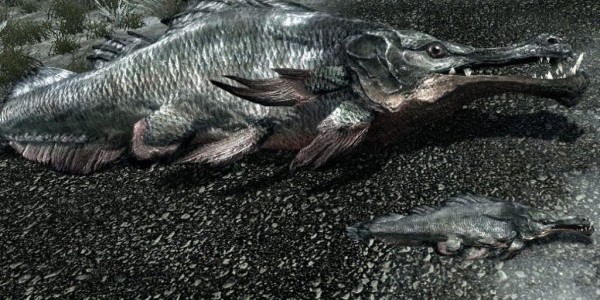 Существа из Skyrim по знакам зодиака Существа из Skyrim по знакам зодиака