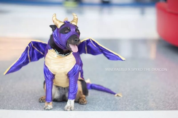 Самые лучшие косплеи с Anime Matsuri 2018 Самые лучшие косплеи с Anime Matsuri 2018