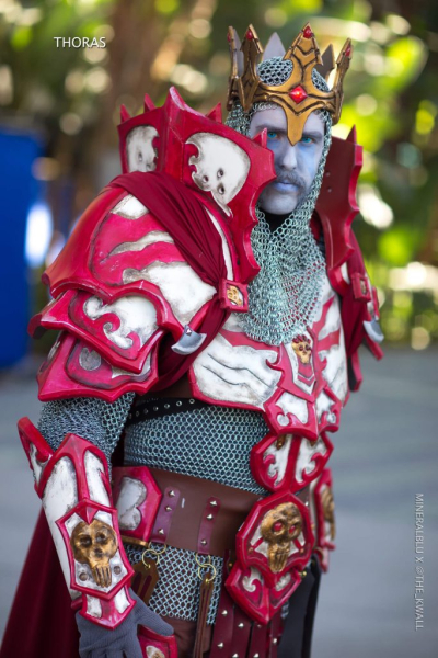 Косплей с BlizzCon 2018 поражает Косплей с BlizzCon 2018 поражает