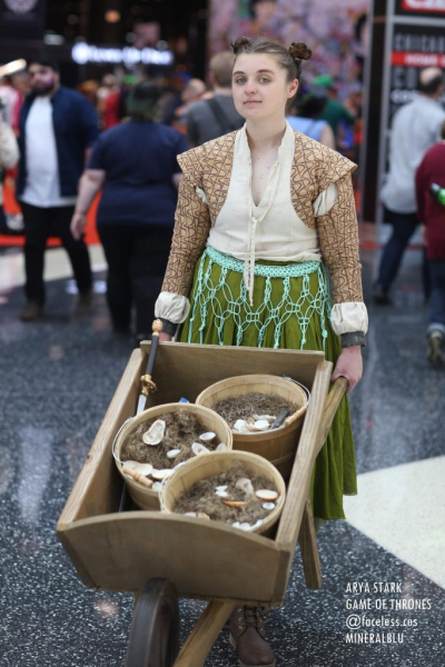 Лучший косплей с конвента Chicago Comic & Entertainment Expo 2019 года Лучший косплей с конвента Chicago Comic & Entertainment Expo 2019 года