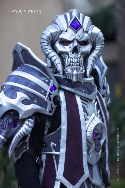 Косплей с BlizzCon 2018 поражает Косплей с BlizzCon 2018 поражает